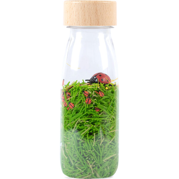 Bouteille sensorielle Coccinelles
