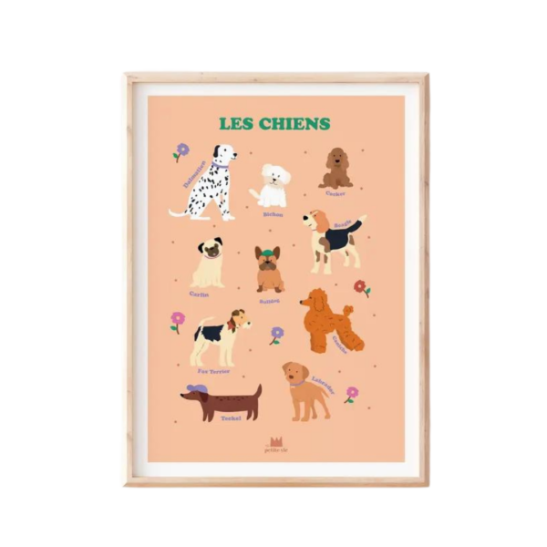 Affiche 50x70 Les chiens