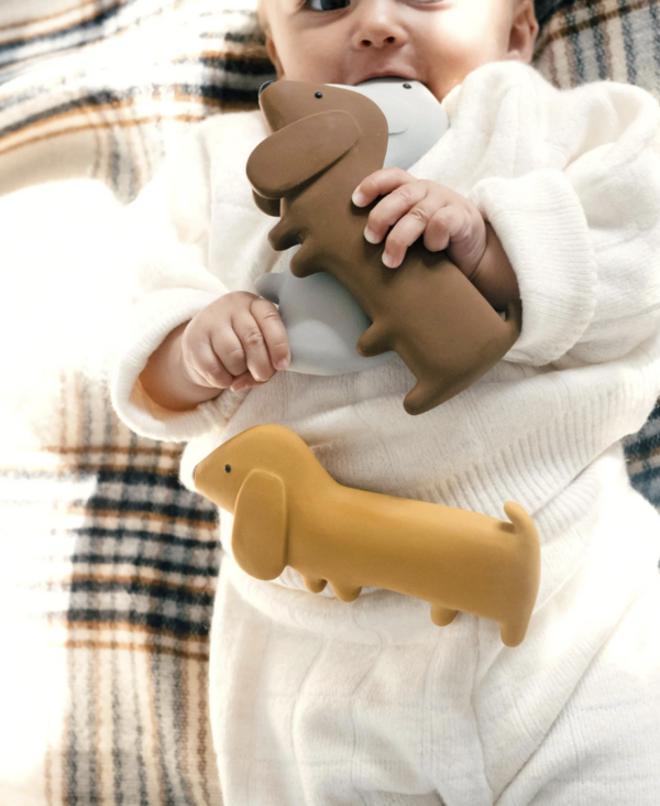 Gommu mini dog - choco – Image 3