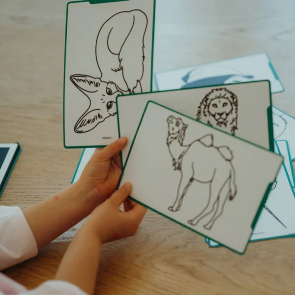 Kidydraw mini - Animals around the world – Image 2