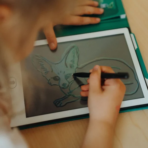 Kidydraw mini - Animals around the world