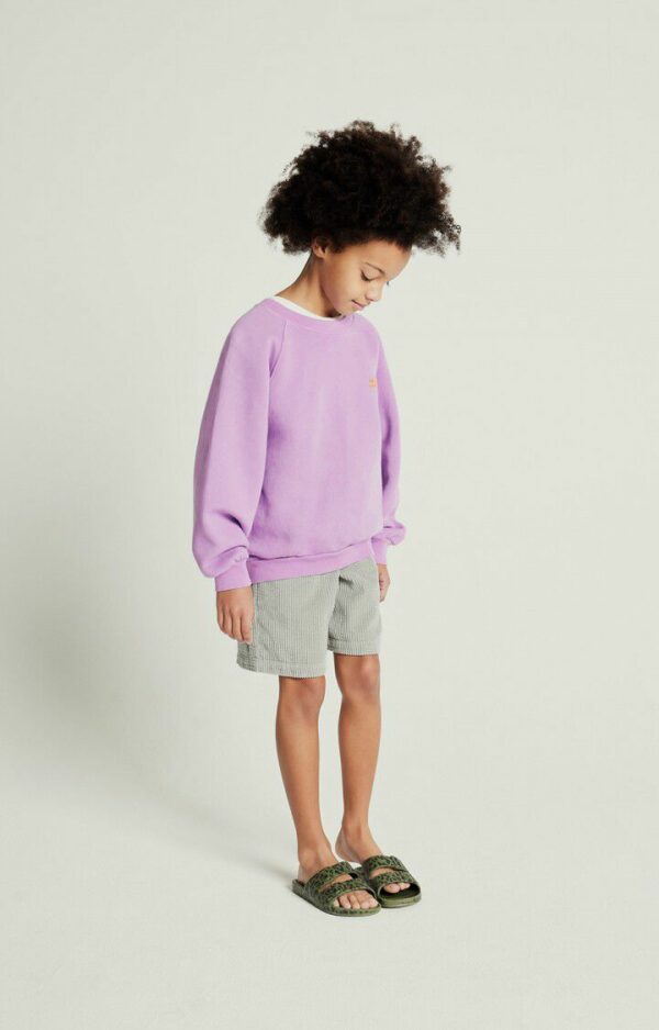 SWEAT ML COL ROND - PARME VINTAGE – Image 4