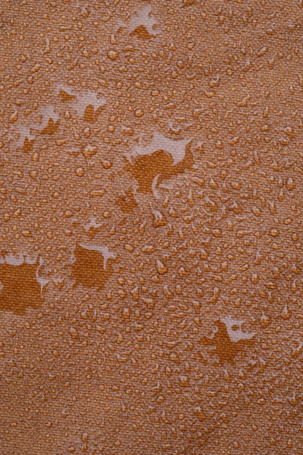 Sac mini charlot Hazelnut - Waxed – Image 2