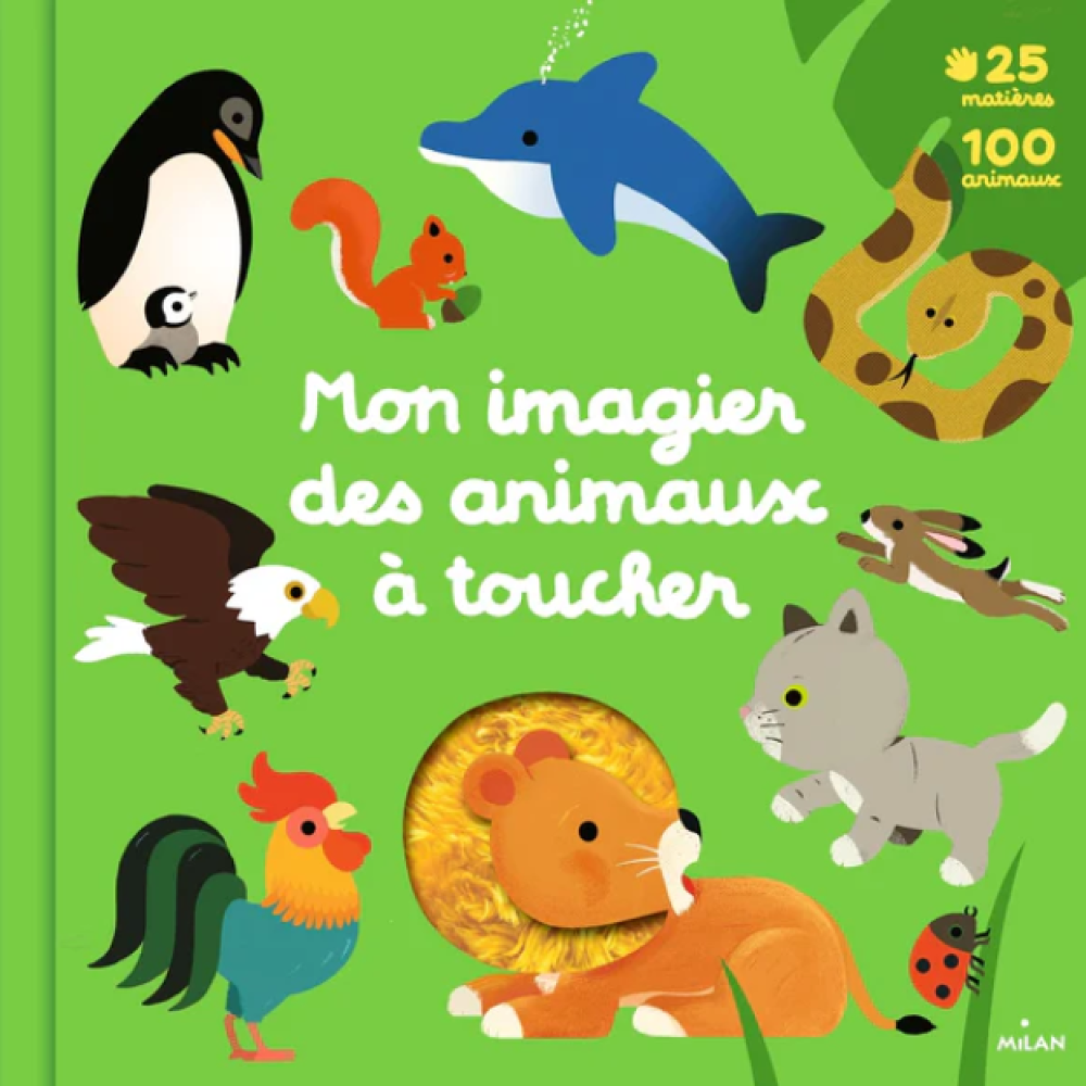 Capture d'écran 2025-07-25 173331