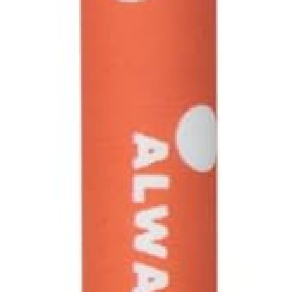 Stylo-effacable-Bo-Bo-Champignon-mrwonderful-2-1