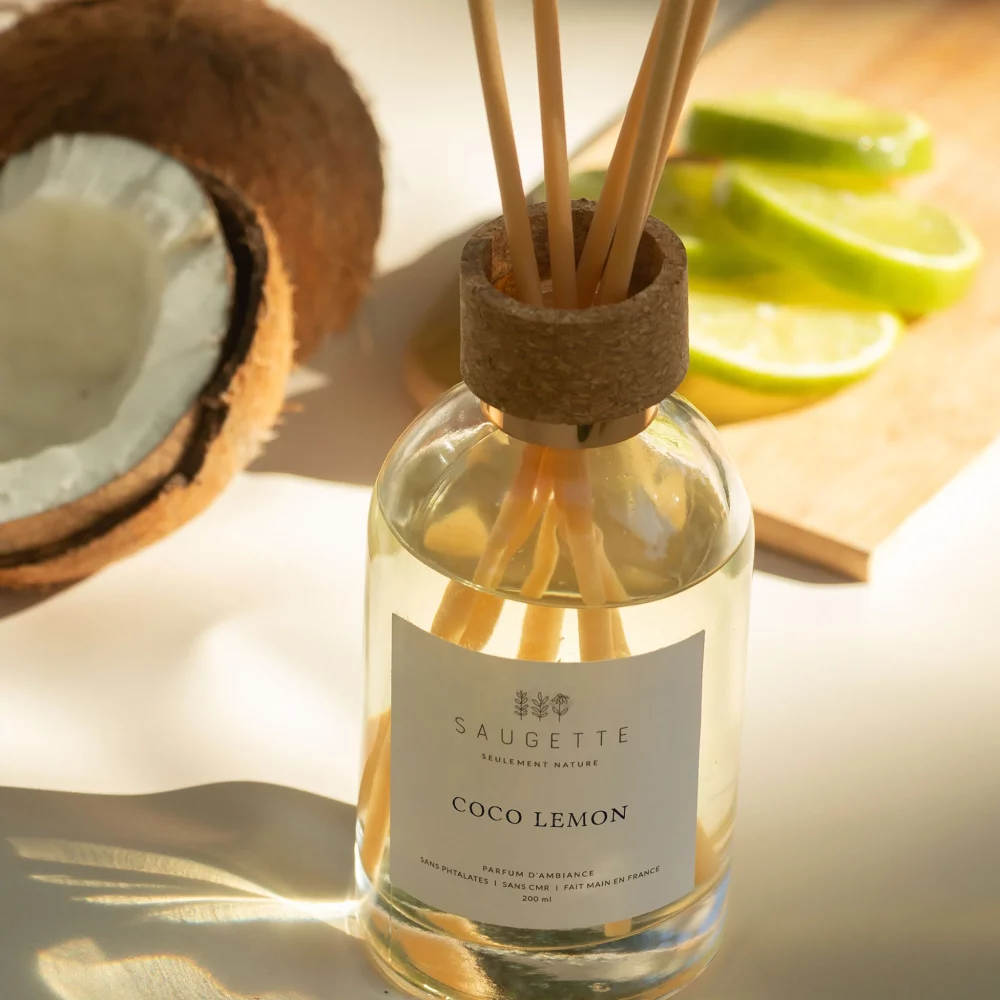 coco_lemon_1_1024x1024@2x